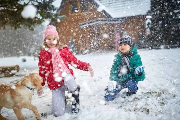 Kinderen spelen op sneeuw met hond in wintervakantie — Stockfoto