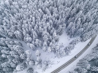 Bir arabanın içinde orman kuş bakışı ile karlı yol