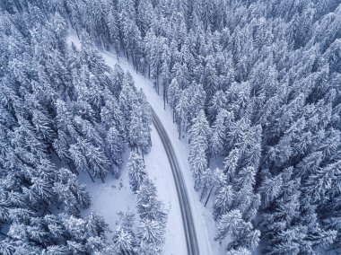 Kış orman ve yol Üstten Görünüm