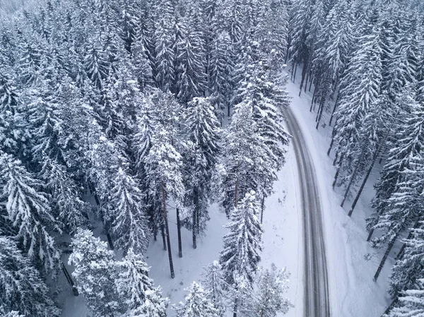 Empty snowy road top view — Stock Photo, Image