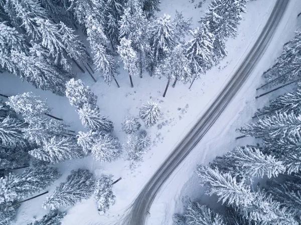 Snowy winter forest with bird's eye view — Stock Photo, Image