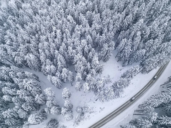 Snowy road with a car in the forest bird's eye view — Stock Photo, Image
