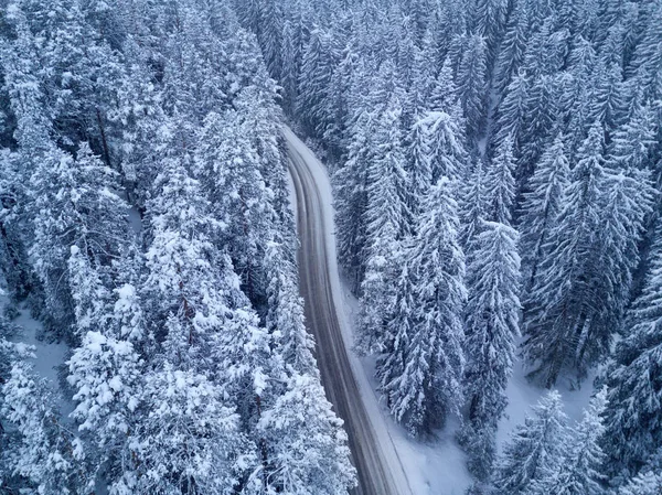Visão de olho de pássaro na estrada na floresta de inverno — Fotografia de Stock