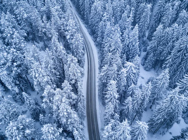 Vista superior da floresta de inverno e estrada — Fotografia de Stock