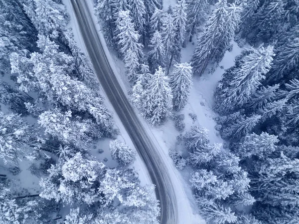 Winter snow covered pine forests birds eye view — Stock Photo, Image