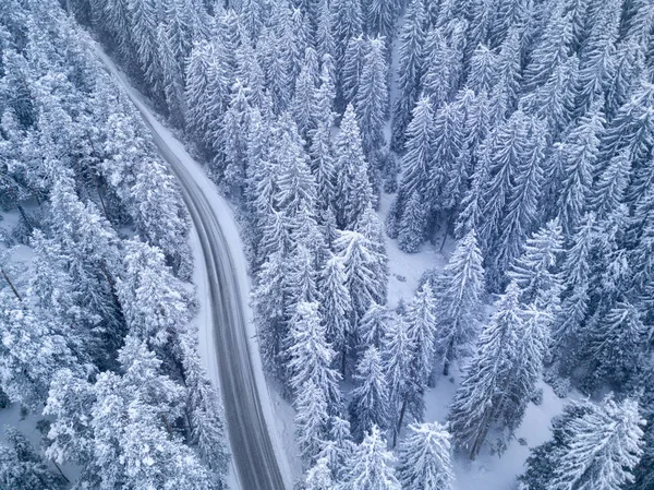 Estrada nevada na floresta visão de olhos de pássaros noturnos — Fotografia de Stock