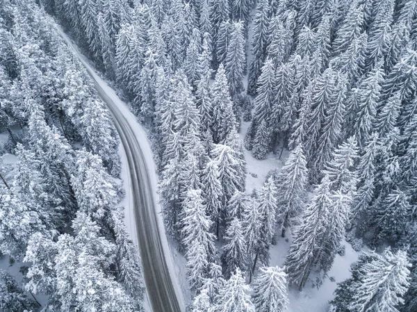 Vista aérea del bosque de pinos cubierto de nieve — Foto de Stock