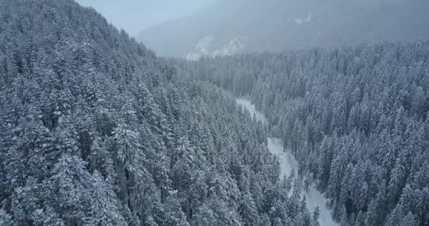 Flyg över Vinterskogen med väg — Stockvideo
