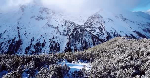 Letecké letu přes zasněžené hory v zimě — Stock video