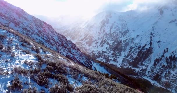 Aerial flygning över snötäckta berg på vintern — Stockvideo