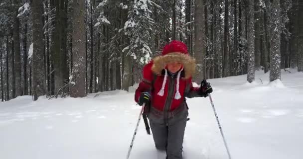 Excursionista de invierno en bosque de nieve — Vídeo de stock