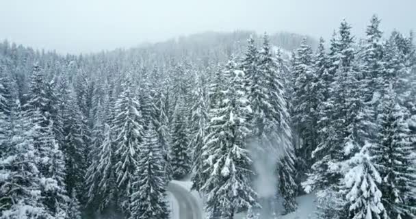 Vuelo aéreo sobre bosque de invierno con carretera — Vídeos de Stock