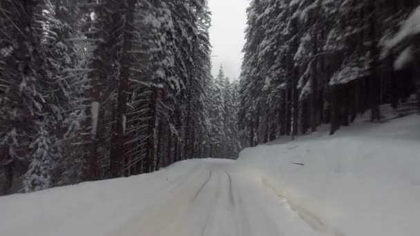 Рухомий автомобіль в зимовому сніжному лісі — стокове відео