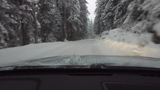 Rijdende auto in winter snow forest — Stockvideo