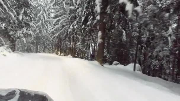 Rijdende auto in winter snow forest — Stockvideo