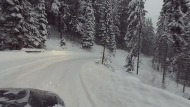 Rijdende auto in winter snow forest — Stockvideo