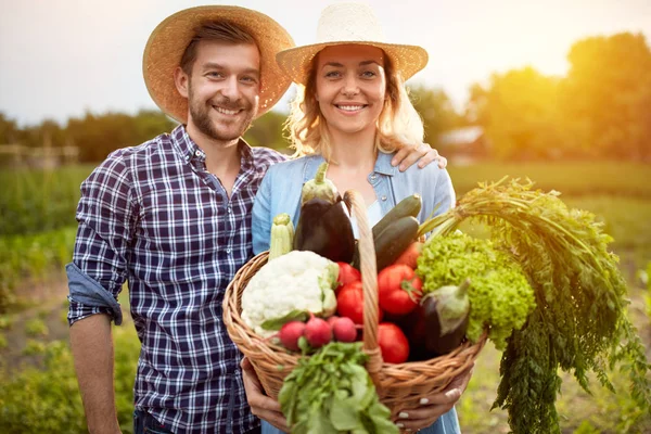 Szép gazdálkodók pár jelentő zöldséges kosárral — Stock Fotó