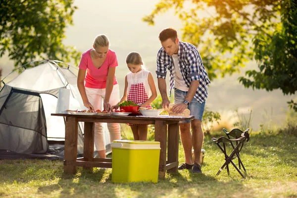 Ung familie på ferie som har grillfest – stockfoto