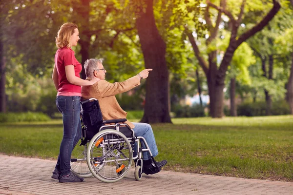 Tekerlekli sandalyede aile zaman yaşlı adam ve kızı parkta zevk