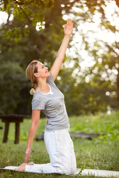 Леди делает упражнения для тела в зеленом парке — стоковое фото