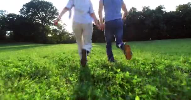 Casal feliz correndo juntos no parque — Vídeo de Stock