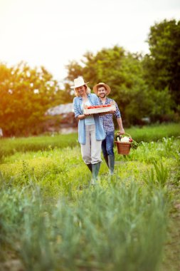 Kadın ve getiren bir sebze Bahçe 