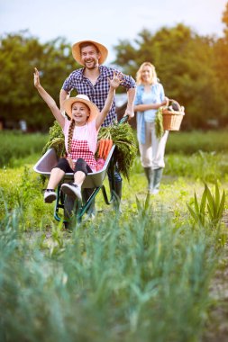 El arabası bahçede dönen