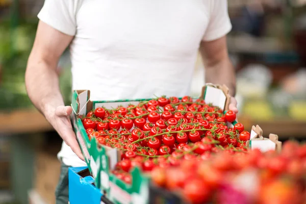 Cherry rajče na pouliční trh — Stock fotografie