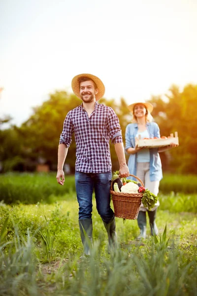 野菜庭園から返す農家夫婦 — ストック写真