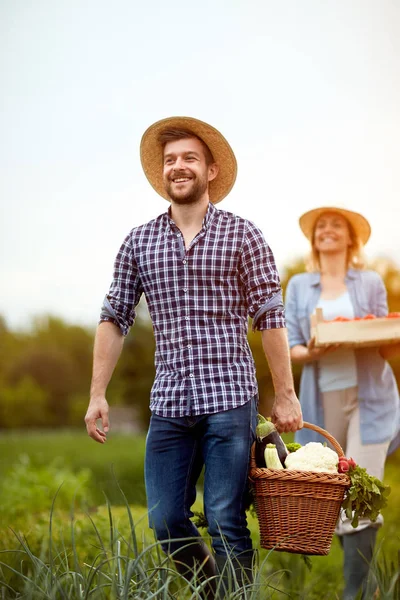 Agricultor que regresa del jardín con productos vegetarianos —  Fotos de Stock