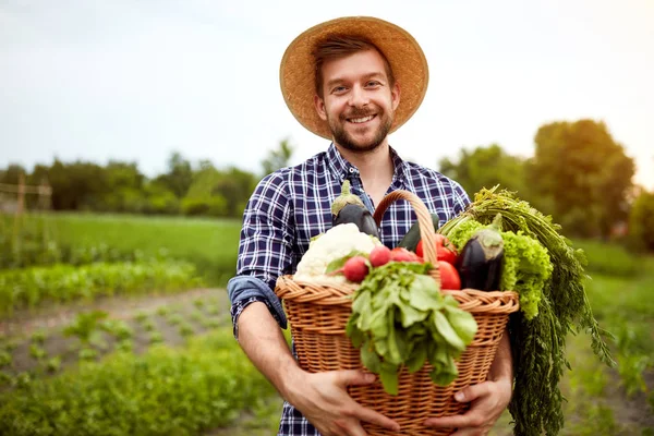 Agricultor con verduras recién recogidas en cesta — Foto de Stock