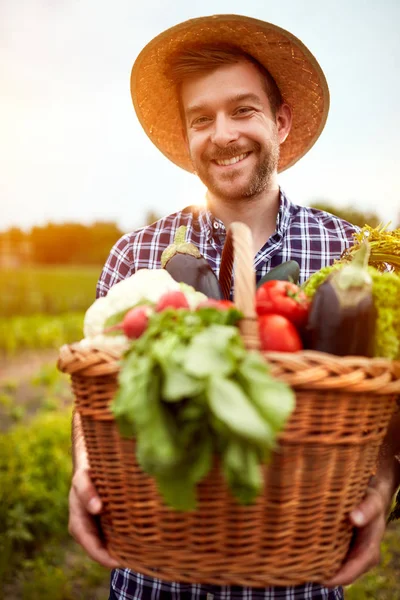 Jovem agricultor com cesta cheia de legumes — Fotografia de Stock