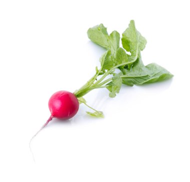 taze kırmızı turp