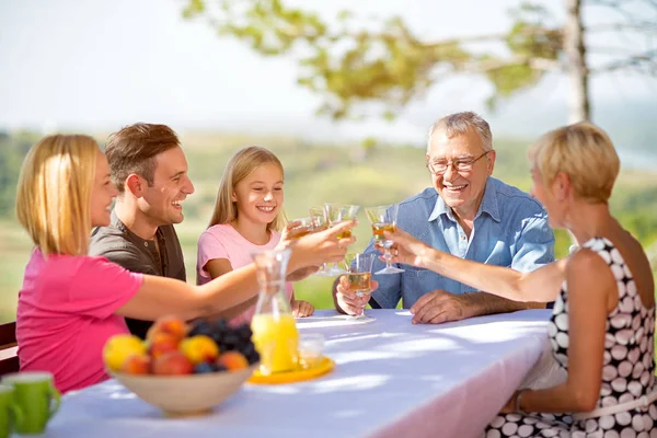 Group of people celebrate on picnic — Stock Photo, Image