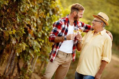 Baba ve oğul şarap tüccarı hasat şarap üzüm bağı