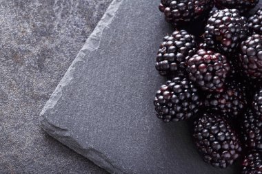 koyu arka plan kopya alanı lezzetli blackberry
