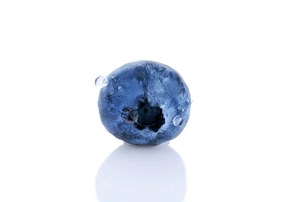 Single blueberry isolated on white — Stock Photo, Image