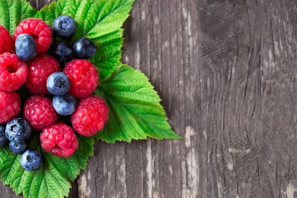 Myrtille et framboise avec congé — Photo