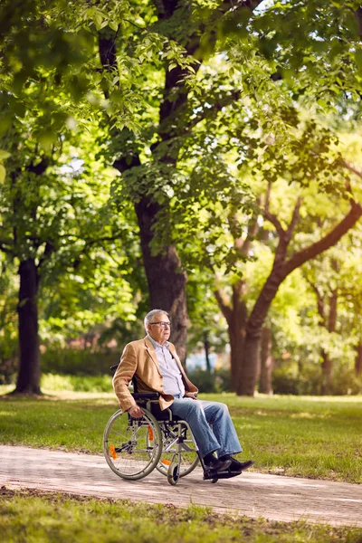 Oude man op rolstoel in het park — Stockfoto