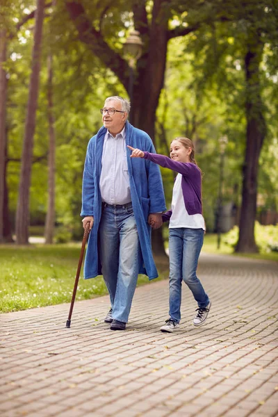 Enkelin zeigt etwas im Park behinderten Großvater — Stockfoto