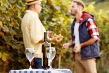 Ürün üzüm şarap