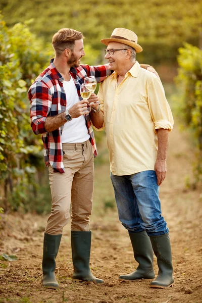 üzüm hasat-baba ve oğul şarap tadımı