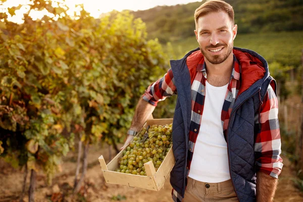 Grape harvest- smiling wine maker family vineyard — Stock Photo, Image