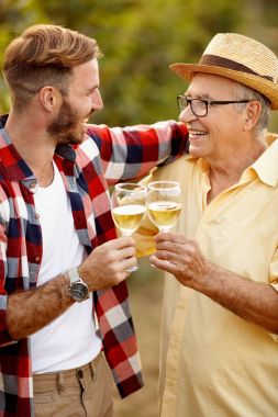 Baba ve oğul bağ - üzüm hasat şarap tadımı