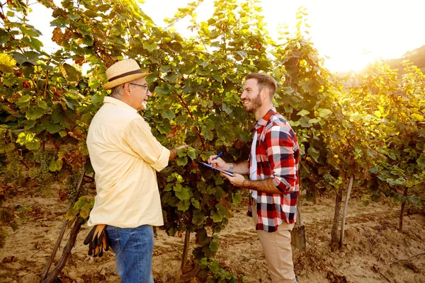 Usměvaví otec a syn řízení révy na vinici — Stock fotografie