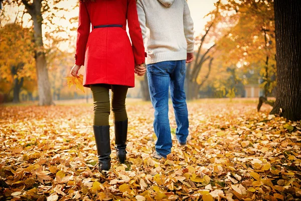 Sonbaharda Park'ta yürüyordunuz genç Çift