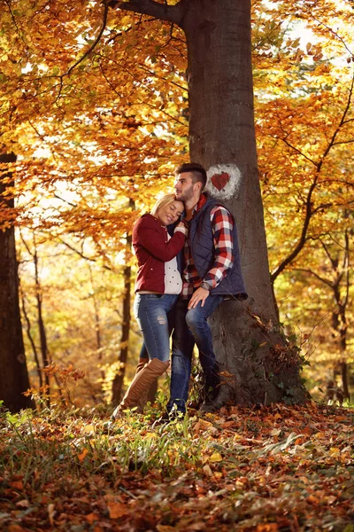 Молодая пара влюблена вместе в парке — стоковое фото