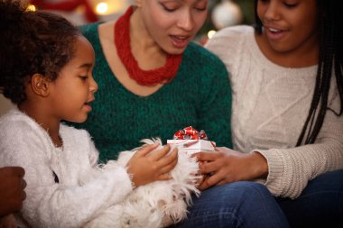 Noel sürpriz dolu kutusunda, kavram