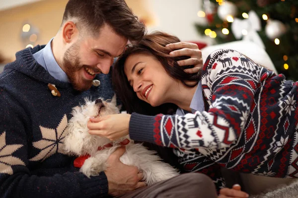 Kadın ve köpek yavrusu Meltzer aşık olan adam