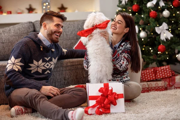 Kız arkadaşım için Noel hediyesi olarak köpek yavrusu